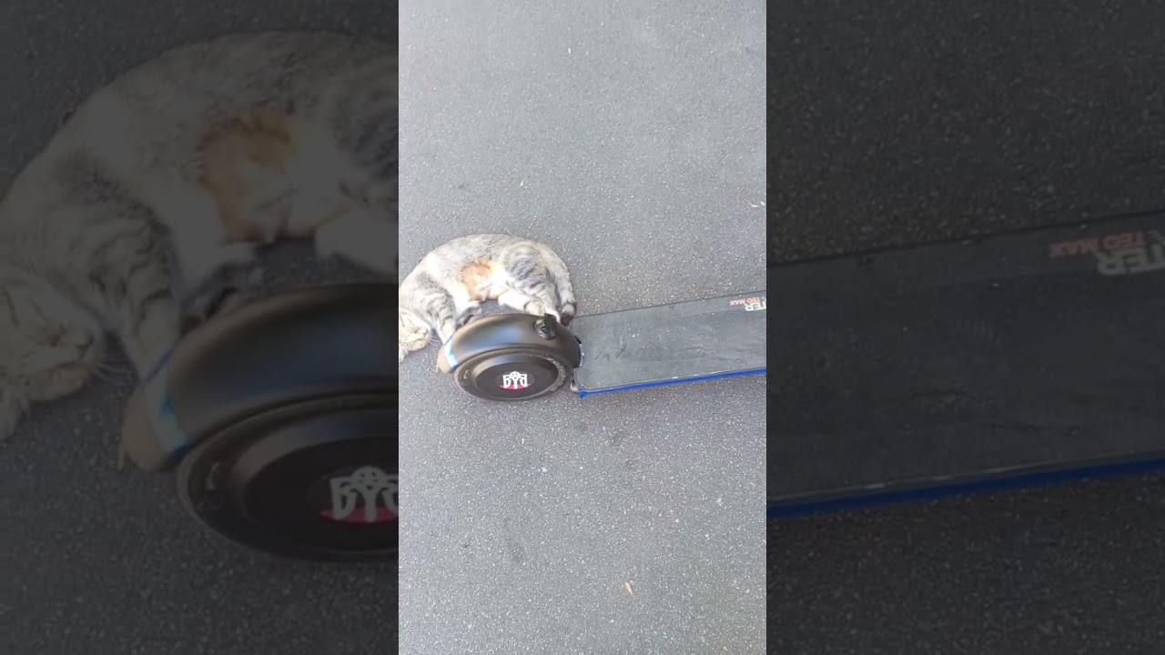 maxxter teo max 2 ч.