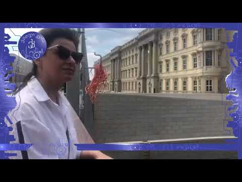 ვიდეობლოგი ,,მედიატორი\"/ ემიგრანტული ამბები