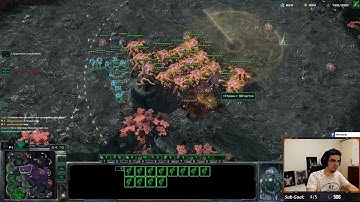 The perfect Swarm Host counter