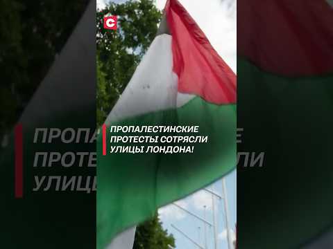 Пропалестинские протесты сотрясли улицы Лондона! #протесты #великобритания #палестина #беспорядки