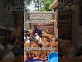 Please be kind for no reason and make a donation towards buying weekly dogs food,300$ is needed 🙏🙏