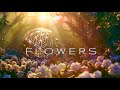 Flowers  flower of life  ambient soundscapes  piano music  blossom of spring