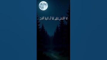 علي جابر – سورة يس 39-40 | #علي_جابر #سورة_يس #تلاوة_خاشعة #قرآن_كريم #تلاوة_مؤثرة