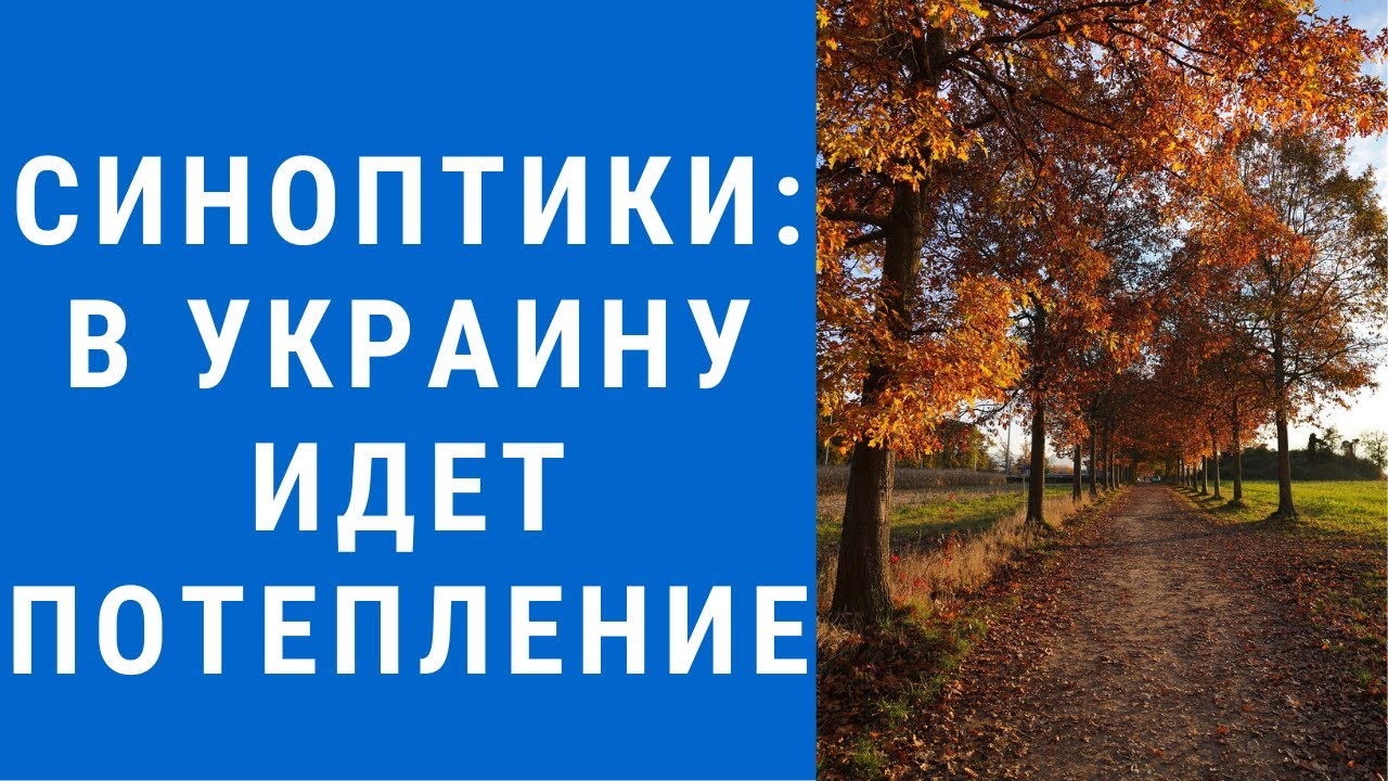 Погода на завтра моторное