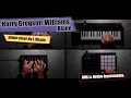 Harry Gregson-Williams - Alone |  ROLI & Native Instruments  (cover by Igor Khariv)