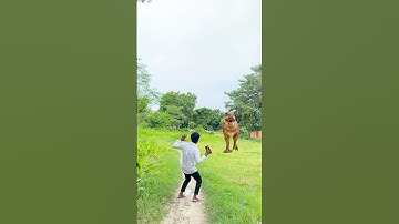 Big Dinosaur chase T-Rex attack part  -1 #trending #dinosaur #viral #vfx #youtube #shorts