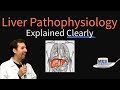 Liver explained clearly  pathophysiology lfts hepatic diseases