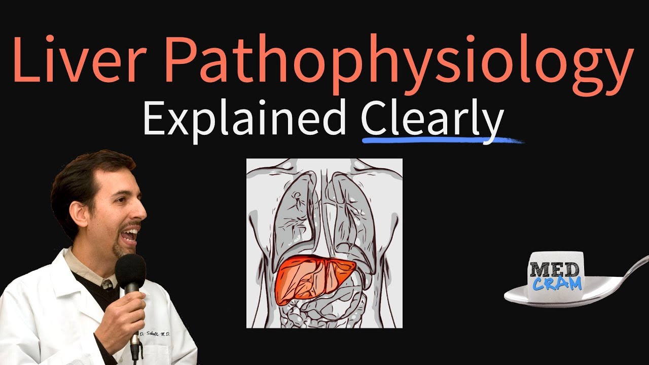 ⁣Liver Explained Clearly - Pathophysiology, LFTs, Hepatic Diseases