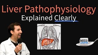 Liver Explained Clearly  Pathophysiology, LFTs, Hepatic Diseases