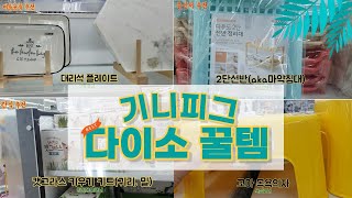 기니피그 다이소 용품 추천 | 직접 사용한 다이소 꿀템 | 기니피그 키우기 용품 준비