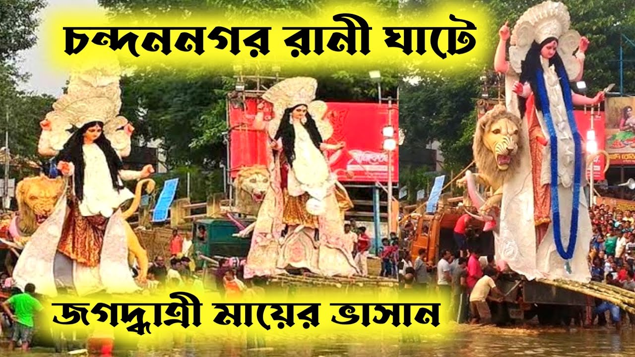 Chandannagar Rani ghat jagadhatri thakur vashan।। চন্দননগরের রানীঘাটে জগদ্ধাত্রী মায়ের বিসর্জন।।