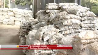 Programa Ashow De 12 A 17 De Jan De 2015 O Produtor Garden