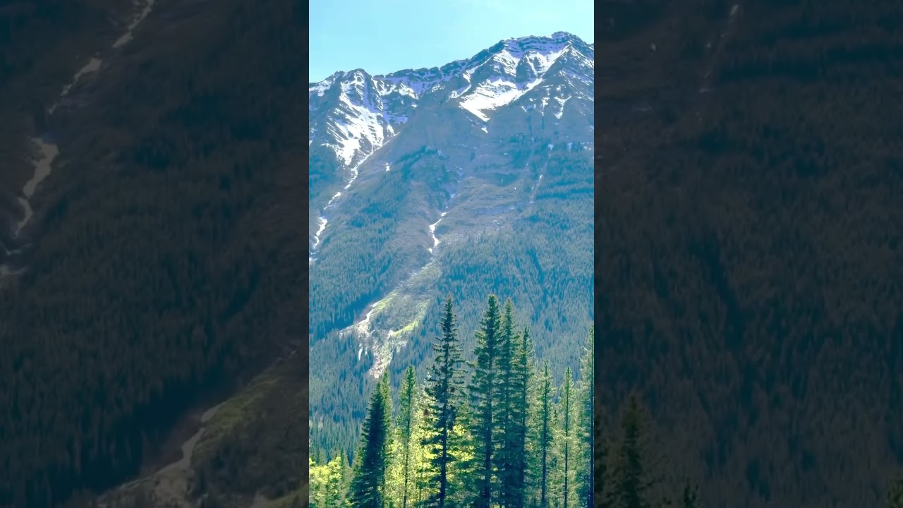 Views from Peter Lougheed Provincial Park           