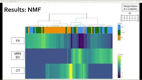 Eric Plitman — HBHL Research Day 2020 Flash Talk