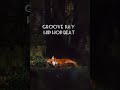 Groove Day Hip Hop Beat 