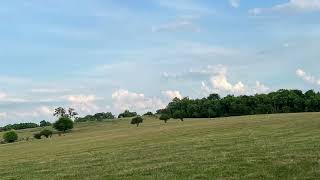 Bluegrass Dreams beautiful countryside, Wilmore Kentucky