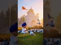 Cute Sikh Baby Feeding Pigeons 🕊️ | Waheguru Ji Simran Peaceful Video 🙏