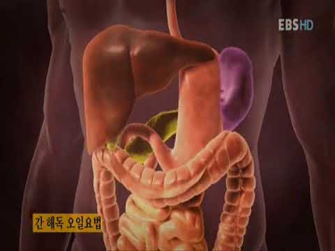경희회오리한의원 해독클리닉