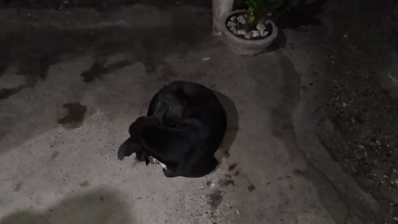 Noite de chuva no nordeste!