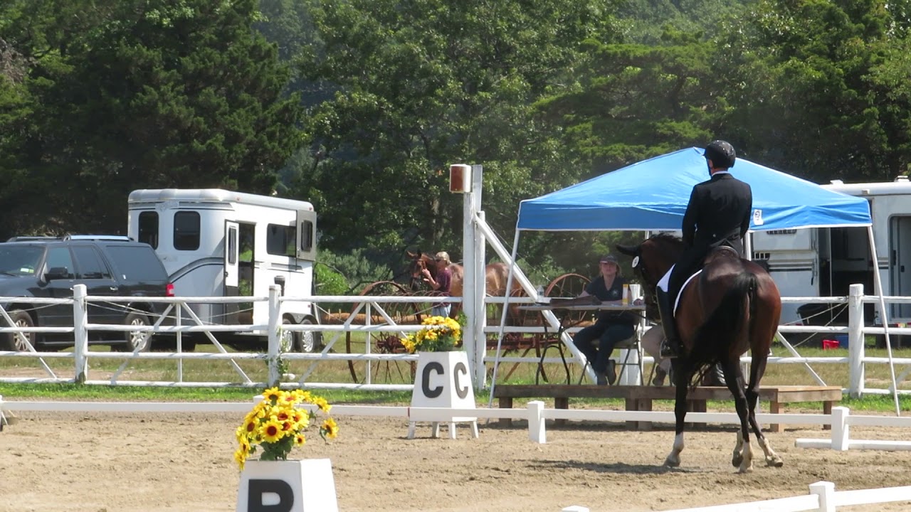 Cieni - Don Giorgio - FEI Prix St. George - AA