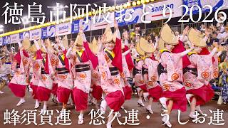 【阿波踊り2026】徳島市阿波おどり2026 蜂須賀連・悠久連・うしお連｜正調・躍動・荒波の競演 | Awaodori in Tokushima, Japan