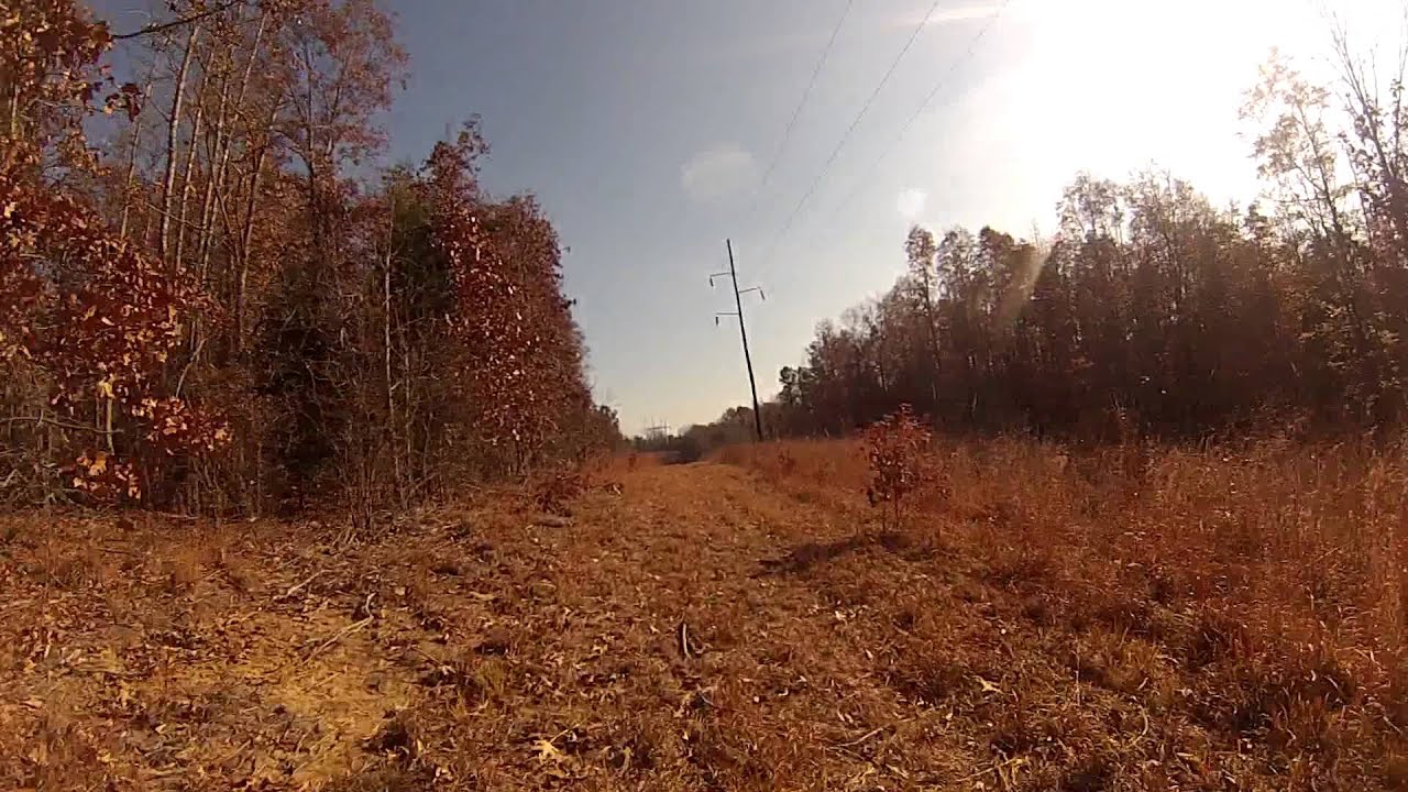 Sardis Lake Property North Roads YouTube