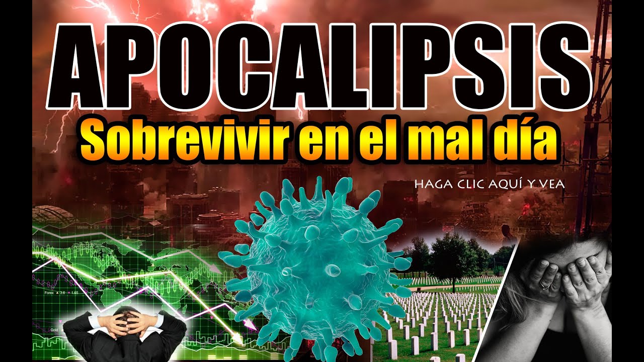 Vídeo: 