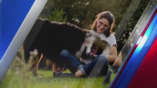 Furry Friends: Virginia German Shephard Rescue