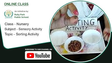 Nursery | Sorting Activity | Sensory Activity | Sorting of Pulses | Ruby Park Public School
