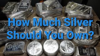 How Much Silver Should You Own?