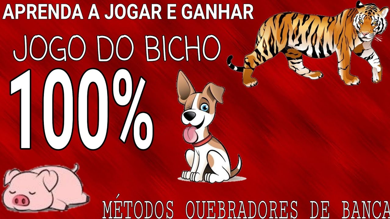 COMO GANHAR NO JOGO DO BICHO?MÉTODOS QUEBRADORES DE BANCA - YouTube