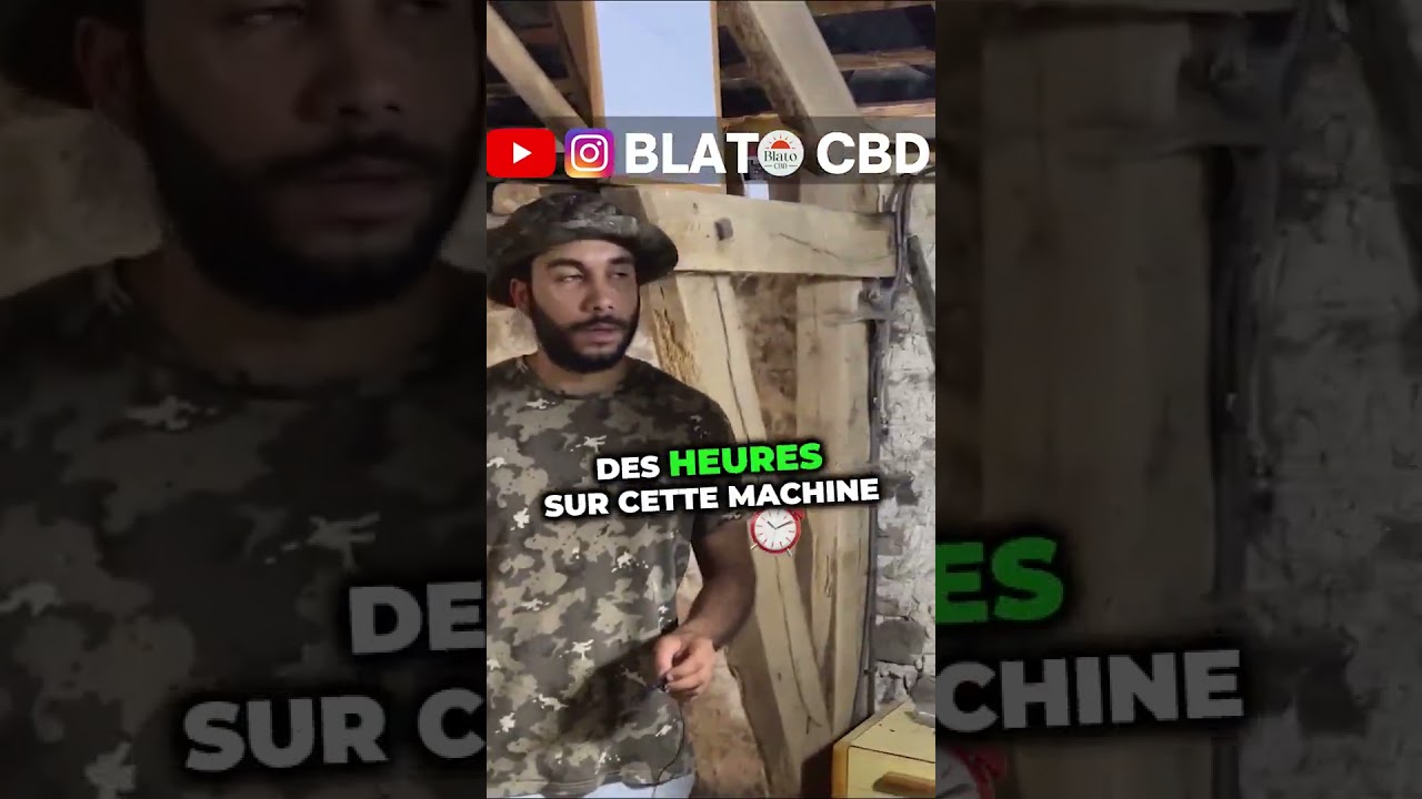 Le séchage chez les frères Canna ! 