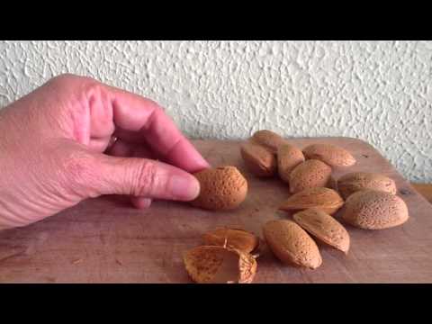 tostadas - Receta de frutos secos - YouTube