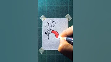 Best Way to Draw a Mosquito for Kids and Adults Alike!