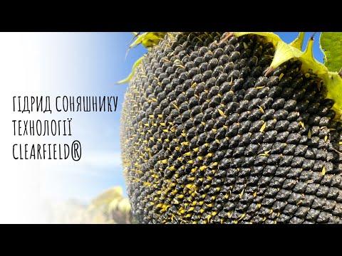 🌻ЕС Генераліс СЛ