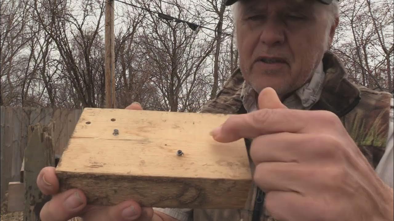 Norma Pellet Test with Umarex NXG YouTube