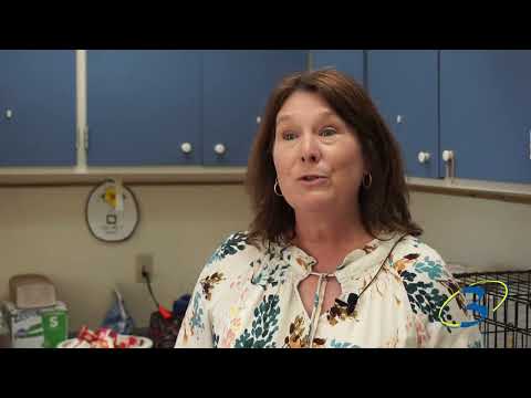 Hatching Friends: Watching Chicks Grow at Pacolet Elementary School