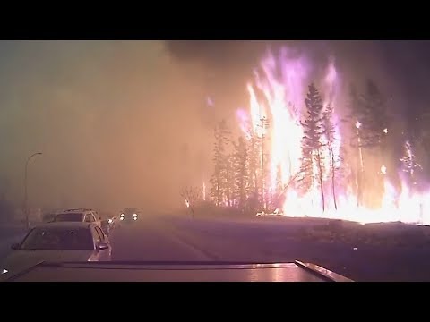 Видео: В Сибир се разраства 