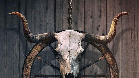 Chuck Norris: Bring on the Pain