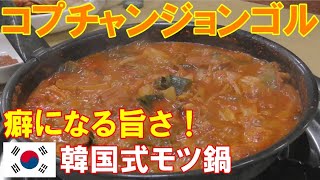 【韓国】コプチャンジョンゴル（ホルモン鍋）