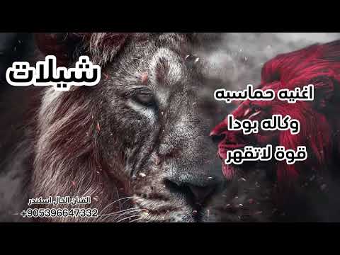 اغنيه وكاله بودا هنا ملوك التحديات والارقام الصعبه اغاني حماسيه هيبه وقوة الخال اسكندر اغنيه وكاله بودا هنا ملوك التحديات والارقام الصعبه اغاني حماسيه هيبه وقوة الخال اسكندر