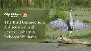 The Bird Connection: A discussion with Lester Graham and Rebecca Williams