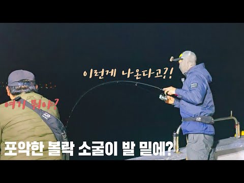 바람 피해 숨어 낚시한곳에 덩어리 볼락들의 서식처가?!