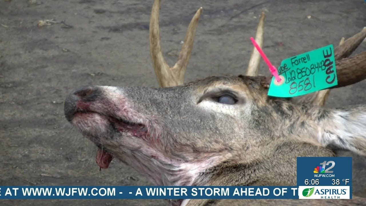 Geiss's Meat Service sees surge in venison processing after gun deer opening weekend