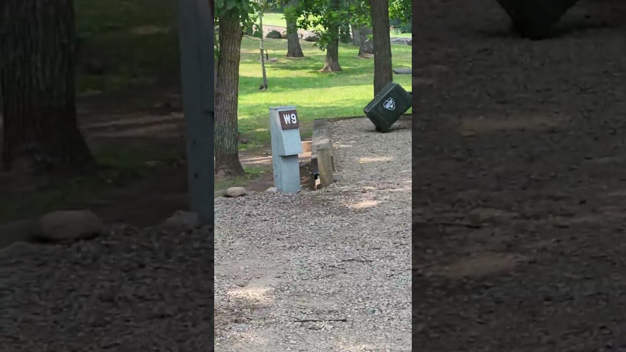 Video of Sunset Pines, MN from SUNSET P.