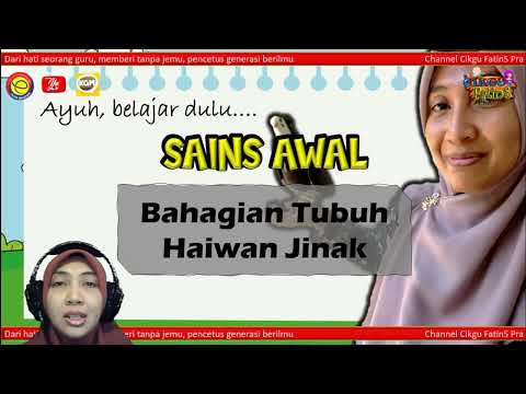 Video: Komposisi untuk kelas 5 dengan topik 