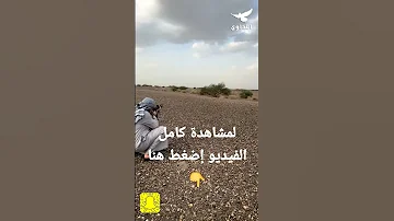 صيد غزال مشيا على الأقدام 
