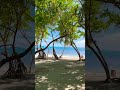 Virgin Island 🏝️: Panglao's Hidden Paradise
