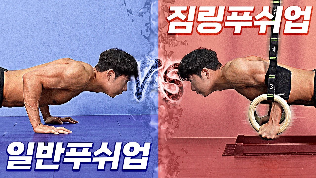 일반푸쉬업VS짐링푸쉬업?  UFC선수, 헐리우드 배우가 짐링을 사용한 이유!