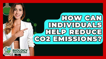 How Can Individuals Help Reduce CO2 Emissions? - Biology For Everyone